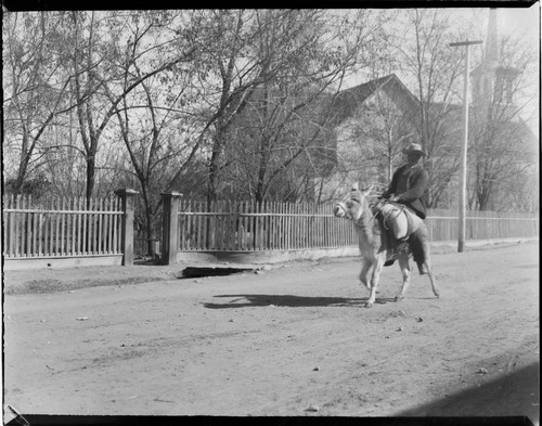 Santa Fe, man on donkey