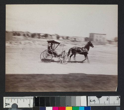 Horse and buggy in unidentified town
