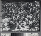 People and umbrellas on the beach, Venice Beach, California