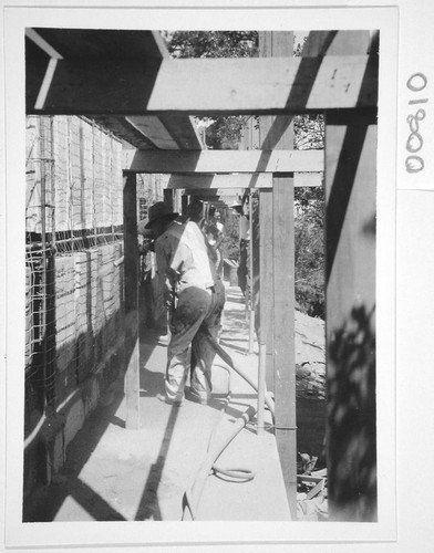 Construction of a new museum building, Mount Wilson