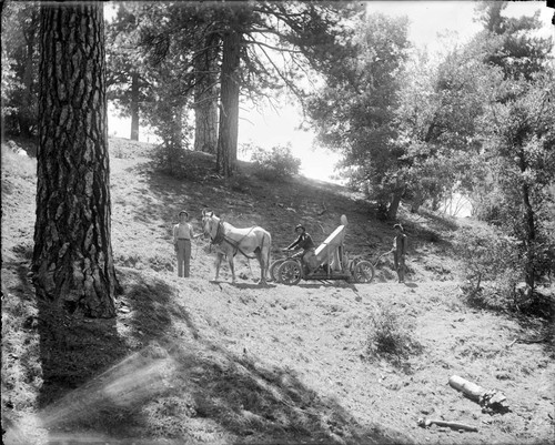 Horse-drawn truck on Mount Wilson trail