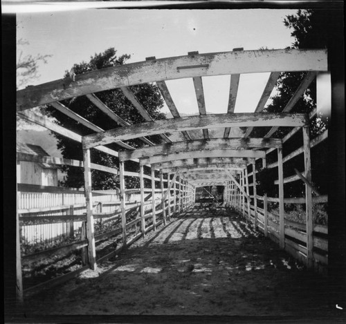 Rancho Camulos grape arbor