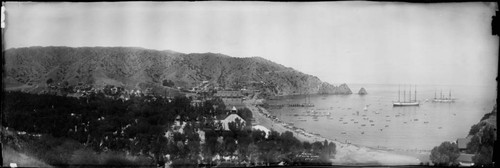 Avalon harbor, Santa Catalina Island. 1904