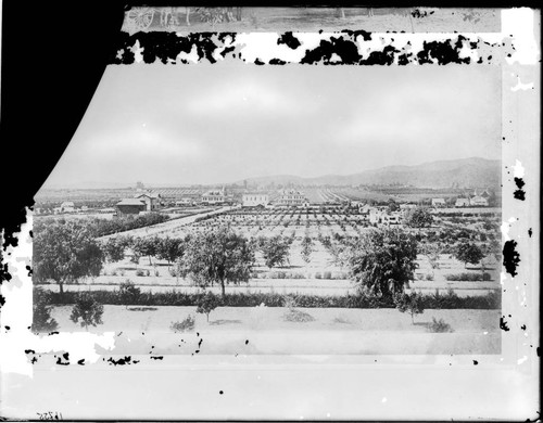 View of Pasadena