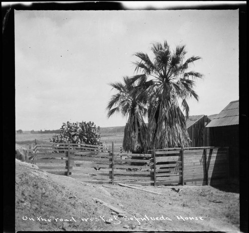 On the road west of Sepulveda House