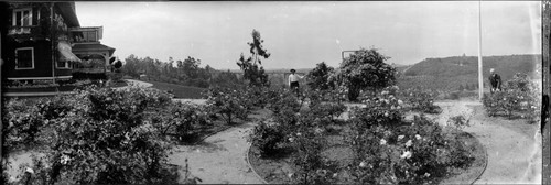 Garden with Colorado Street Bridge in the background