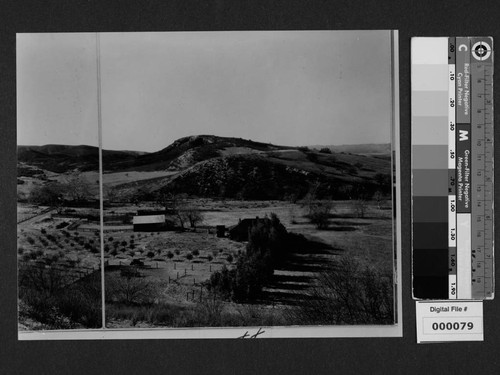 View of landscape at Milflores, Spanish-style home of Harrison Gray Otis