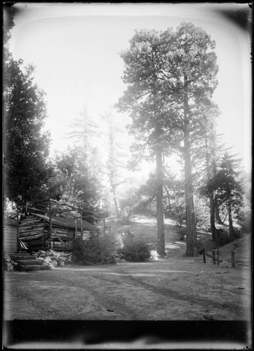 A. G. Strain's camp, Mount Wilson