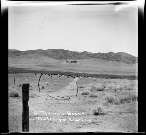 A Ranch Scene in Antelope Valley