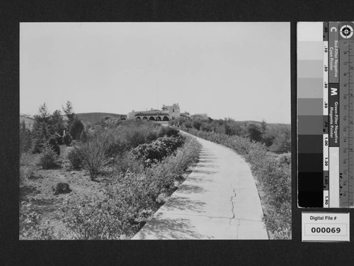 View of driveway to Milflores, Spanish-style home of Harrison Gray Otis