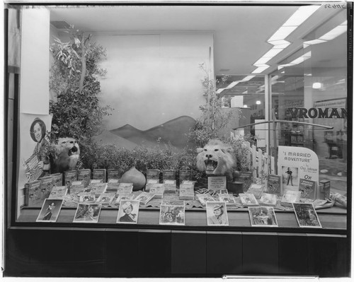 A.C. Vromans bookstore "I Married Adventure" window display, 469 East Colorado, Pasadena. 1940