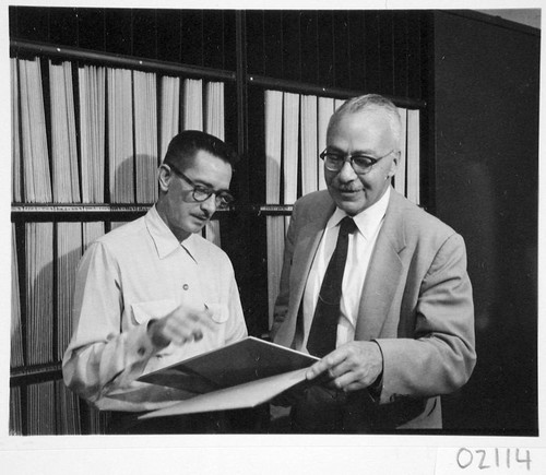 James McClanahan and Rudolph Minkowski inspecting sky survey plates in the file room, Palomar Observatory