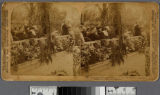President McKinley in land of flowers - Redlands, California