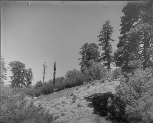 Site of 100-inch telescope dome, Mount Wilson Observatory, prior to construction