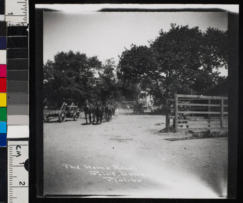 The Home Ranch. Point Duma, Malibu