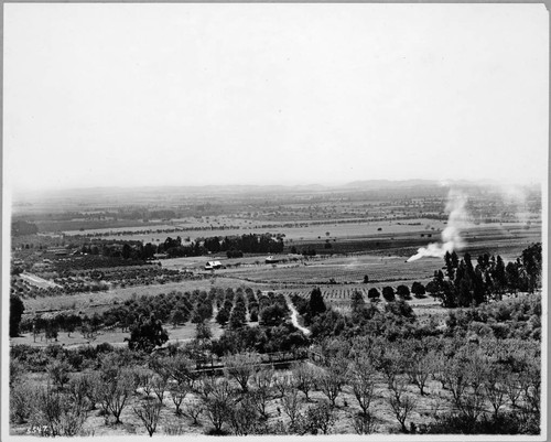 Fruit Ranch, Sierra Madre, overlooking valley