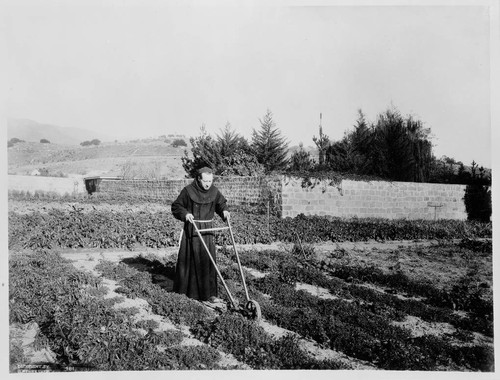 Monk gardening, Mission Santa Barbara