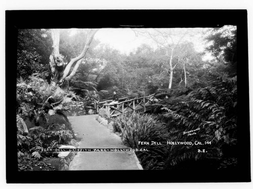 Fern dell, Griffith Park, Hollywood, Cal