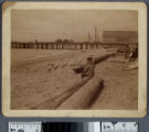 Alfred feeding his seagulls, Redondo Beach