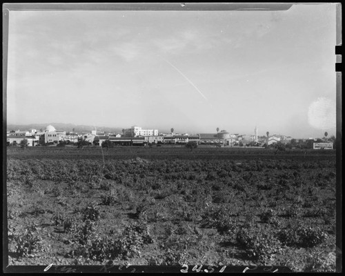 Panoramic view of early Westwood Village