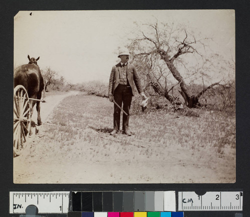 Casa Grande to Florence, 1892. F.G. Logan