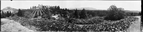 Garden, mountains, and an orange grove