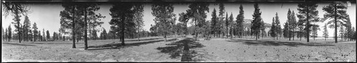 Pan Hot Springs, Baldwin Lake, Bear Valley. 1924