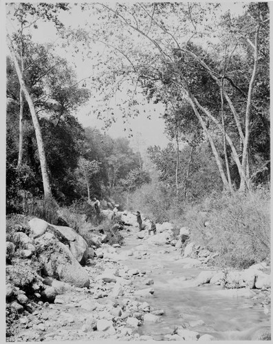 Sierra Madre Mt. Canyon