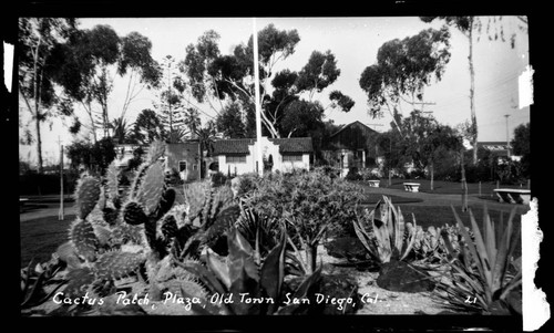 Cactus Patch Plaza, Old Town San Diego, Cal