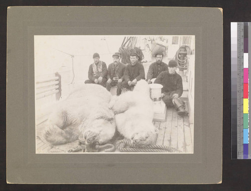 Crew and two dead polar bears on deck of unidentified ship