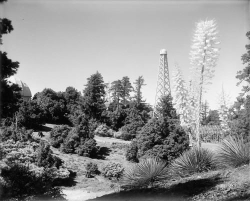 Buildings and towers at Mount Wilson Observatory