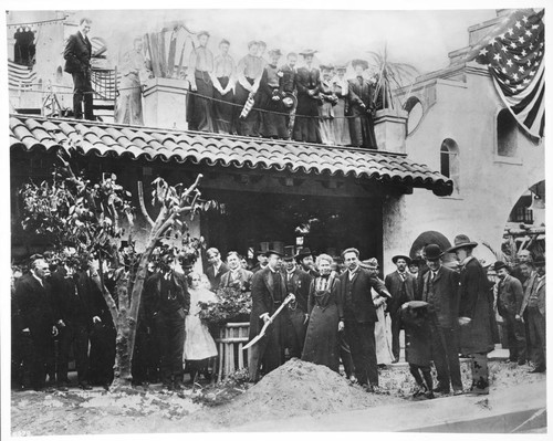 Original Washington Navel tree transplanted by President Roosevelt, Mission Inn, Riverside