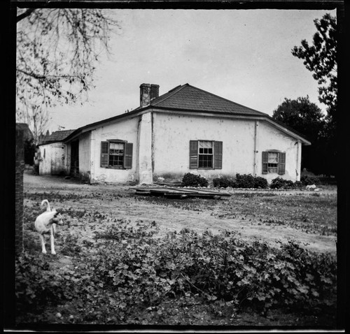 Unidentified house with a dog in yard