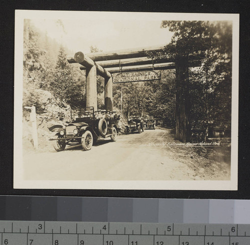 Nisqually Entrance. Mt. Rainier National Park