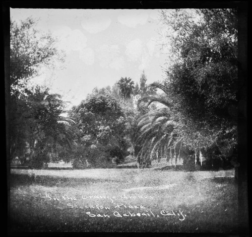 In the orange groves, Stockton place, San Gabriel, Calif