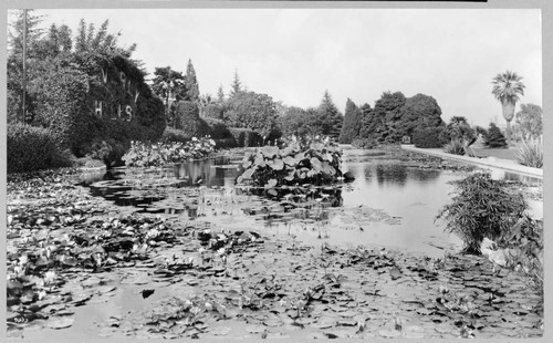 Beverly Hills park, 1925