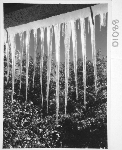 Icicles hanging from the eaves of the physical laboratory, Mount Wilson Observatory