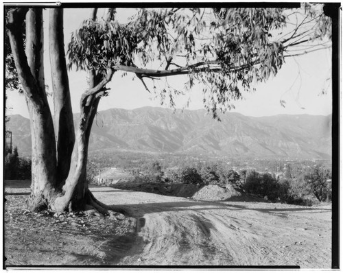 Evening shadows on the San Gabriel Mountains. 1924