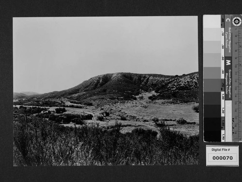 View of terrain around Milflores, Spanish-style home of Harrison Gray Otis