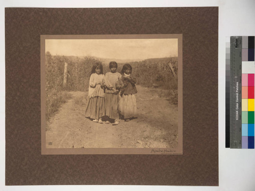 Apache Maidens. White Mountain Reservation