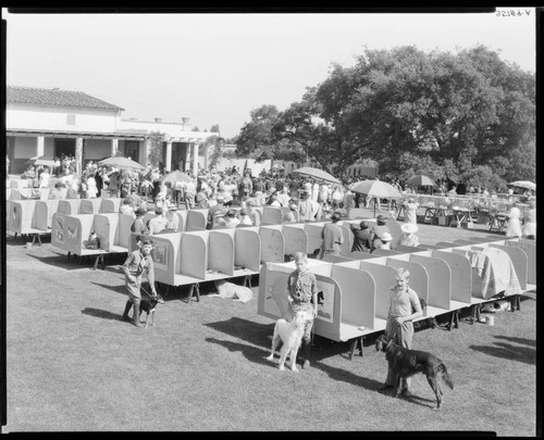 Pet show, Polytechnic Elementary School, 1030 East California, Pasadena. 1935