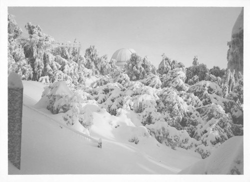 Snow-covered trees and the 60-inch telescope dome, Mount Wilson Observatory