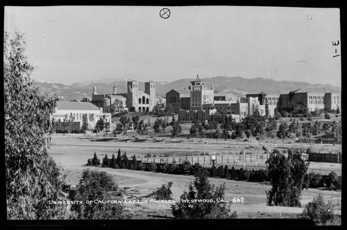 University of California at Los Angeles, Westwood, Cal