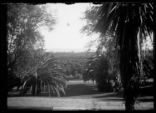 View from Lake Vineyard, looking south