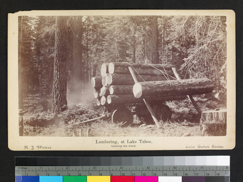 Lumbering at Lake Tahoe. Loading the truck