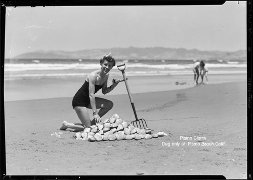 Pismo clams, dug only at Pismo Beach, Calif