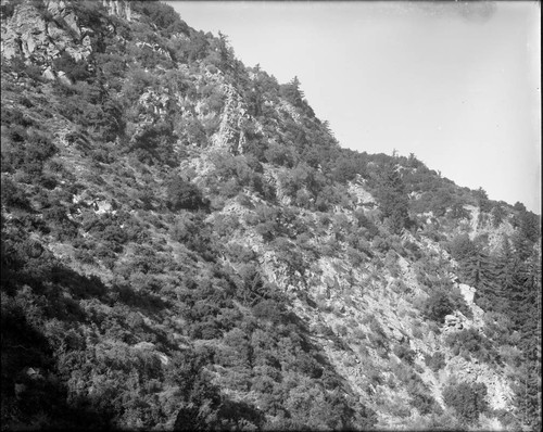 South side of Mount Harvard, Mount Wilson, San Gabriel Mountains