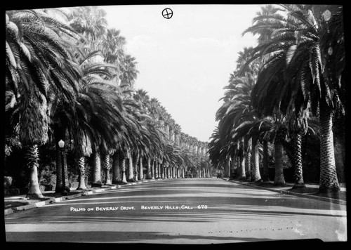 Palms of Beverly Drive, Beverly Hills, Cal