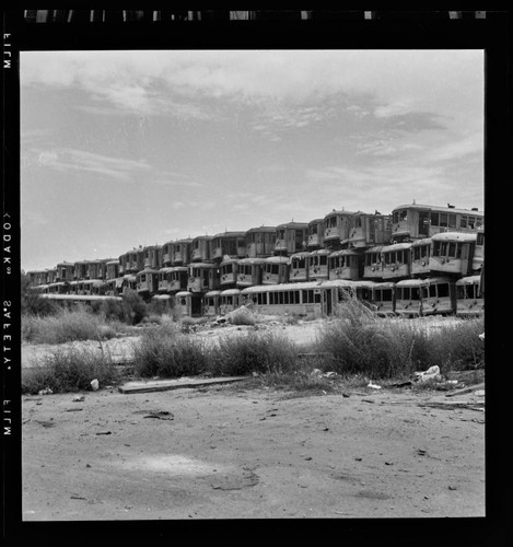 Pacific Electric Railway cars, Terminal Island