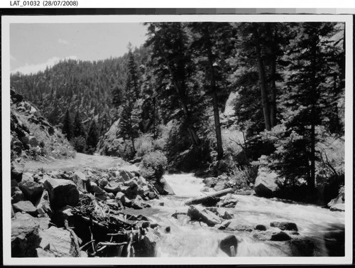 Flowing river with dirt road on left bank at Vermejo Ranch